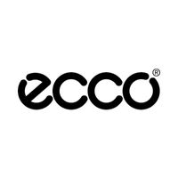 Ecco Shoelaces